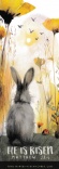 Bookmark - He is Risen (Pack of 5)